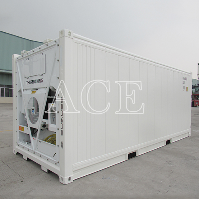 Seaworthy Refrigerator 20ft Reefer Container for Sale