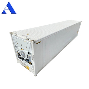 Minus 60 Degree Thermo King Reefer 40ft Deep Feezer Containers
